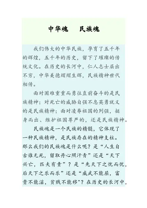 中华魂民族魂