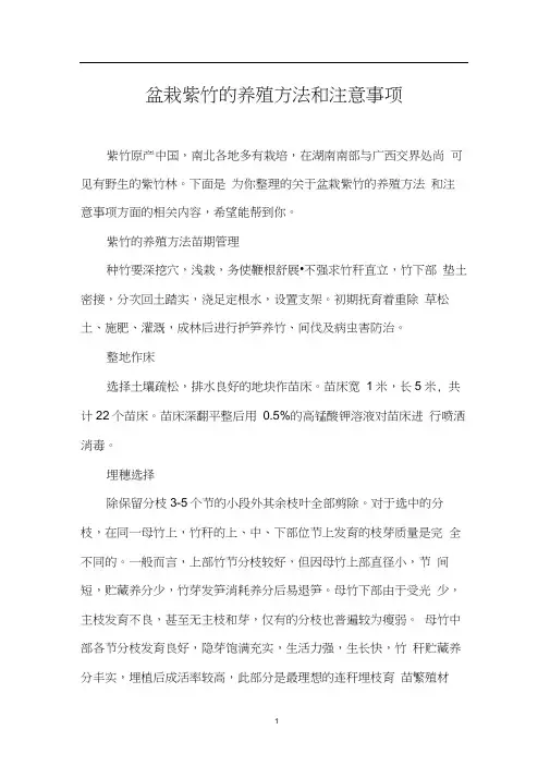 盆栽紫竹的养殖方法和注意事项(20201027123330)