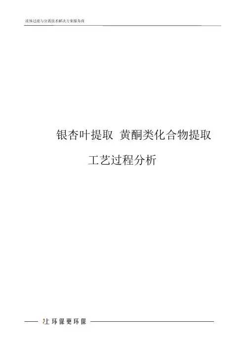 银杏叶提取 黄酮类化合物提取工艺过程分析