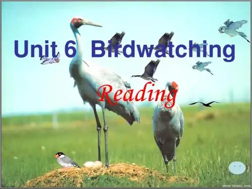 8A Unit6 reading1