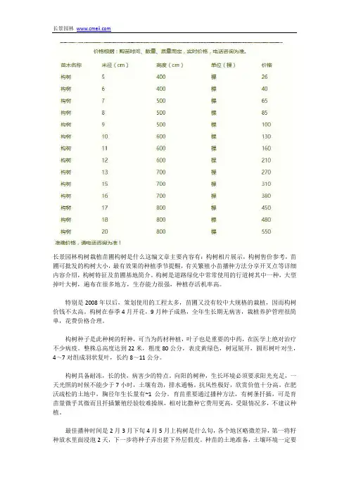构树是什么树