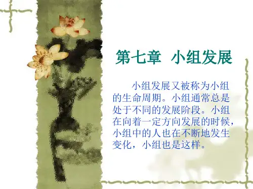第七章 小组发展