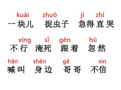 一年级语文下册 课文5《小公鸡和小鸭子》(完美版)