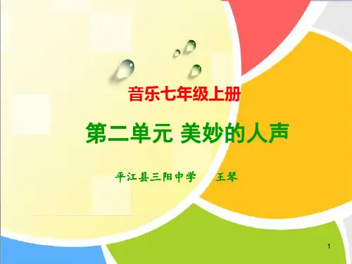 美妙的人声优秀课件PPT