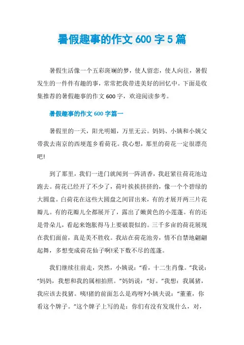 暑假趣事的作文600字5篇