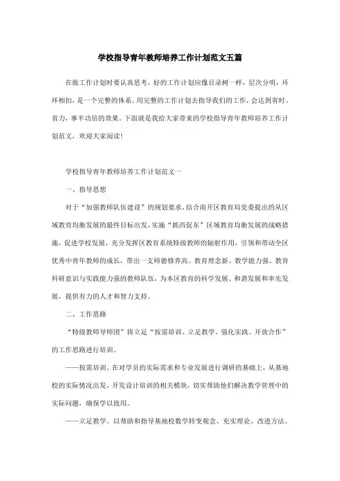 学校指导青年教师培养工作计划范文五篇