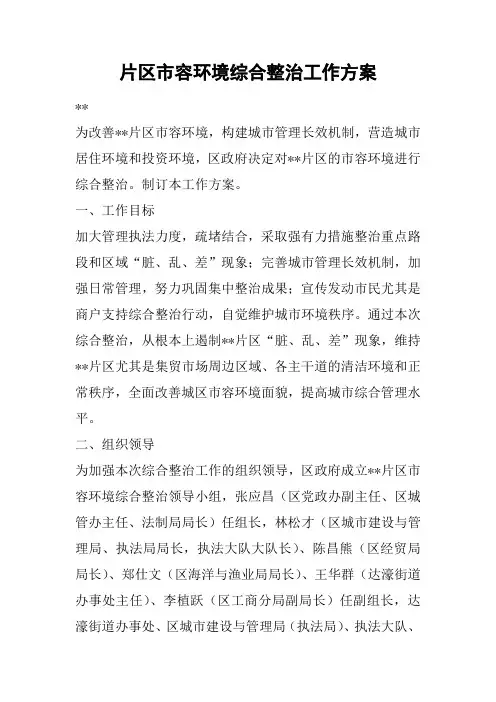 片区市容环境综合整治工作方案
