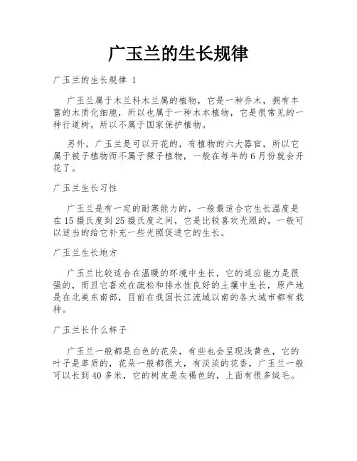 广玉兰的生长规律