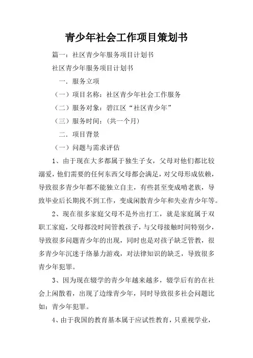 青少年社会工作项目策划书