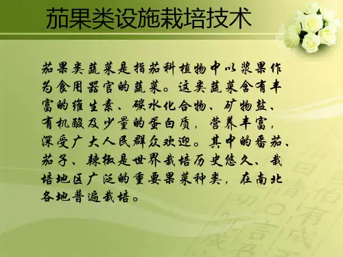 番茄栽培技术