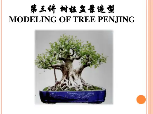 第三讲 树桩盆景造型 