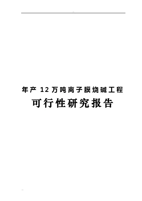 年产12万吨离子膜烧碱工程可行性研究报告