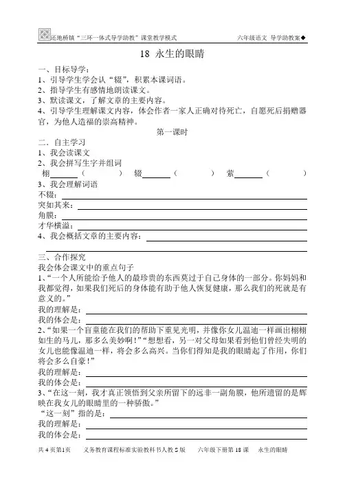 18 永生的眼睛 导学案