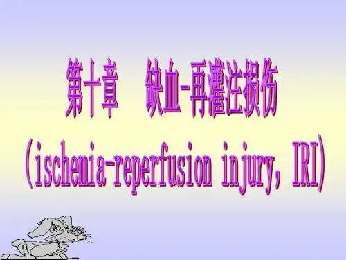 缺血-再灌注损伤的诊治进展