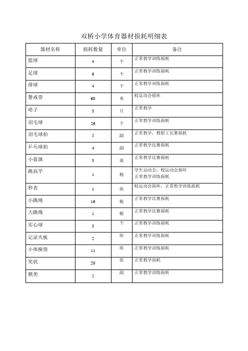 样表    小学体育器材损耗明细表