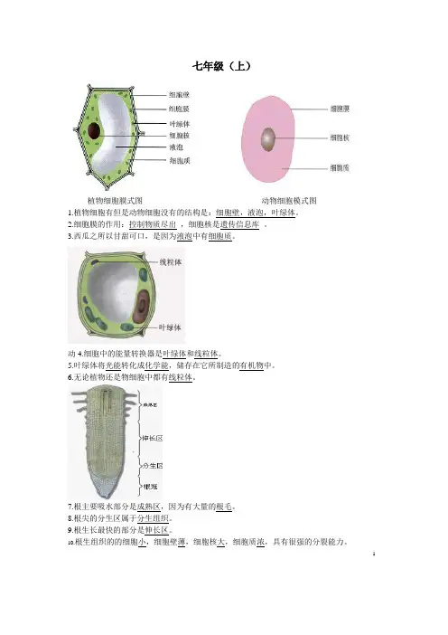 生地会考复习资料：初中生物图集(人教版)