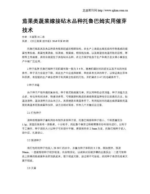 茄果类蔬菜嫁接砧木品种托鲁巴姆实用催芽技术