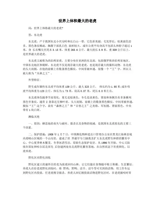 世界上体积最大的老虎