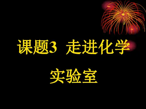 走进化学实验室1 (1)