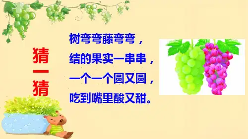 小学语文二年级上册11-葡萄沟-