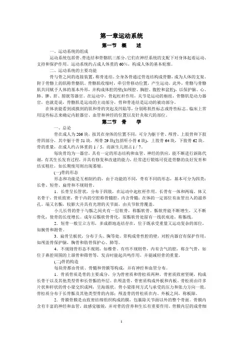第一章 运动系统--正常人体解剖学