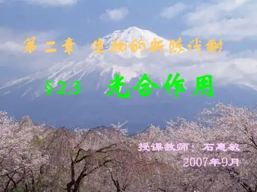 第二章 生物的新陈代谢new
