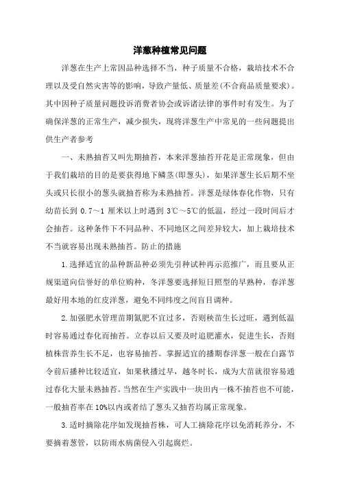 洋葱种植常见问题