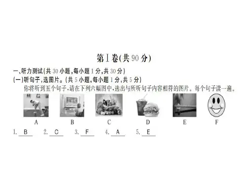 【最新】九年级外研版英语(广西)习题课件：Module.综合5-6 (共47张PPT)