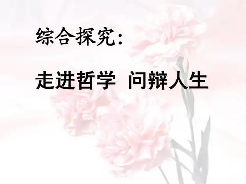 综合探究：走进哲学_问辩人生