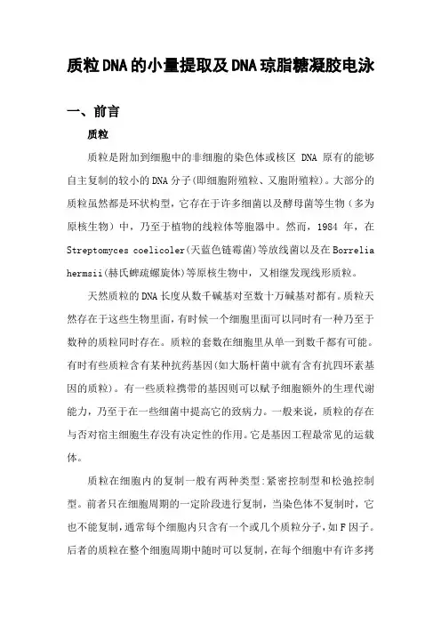 质粒DNA的小量提取及DNA琼脂糖凝胶电泳实验报告