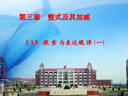 3.5探索与表达规律(一)精品PPT课件