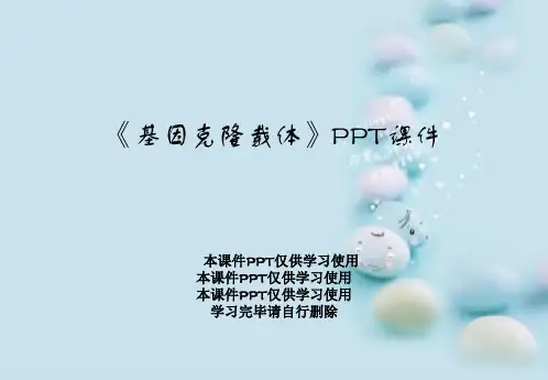 《基因克隆载体》PPT课件