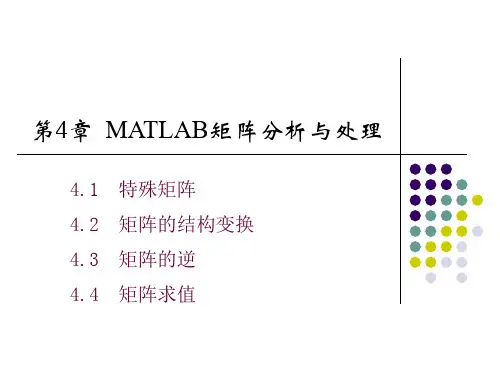 22第4讲__MATLAB矩阵分析及符号运算