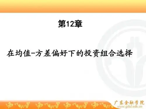12 在均值方差偏好下的组合选择金融经济学(王江)课件,最全面的,最重要的内容解析