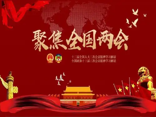 2020年全国两会解读