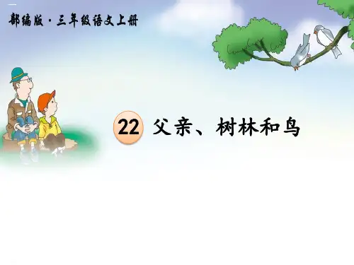 《父亲、树林和鸟》PPT课件-完美版
