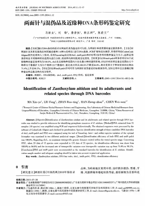 两面针与混伪品及近缘种DNA条形码鉴定研究