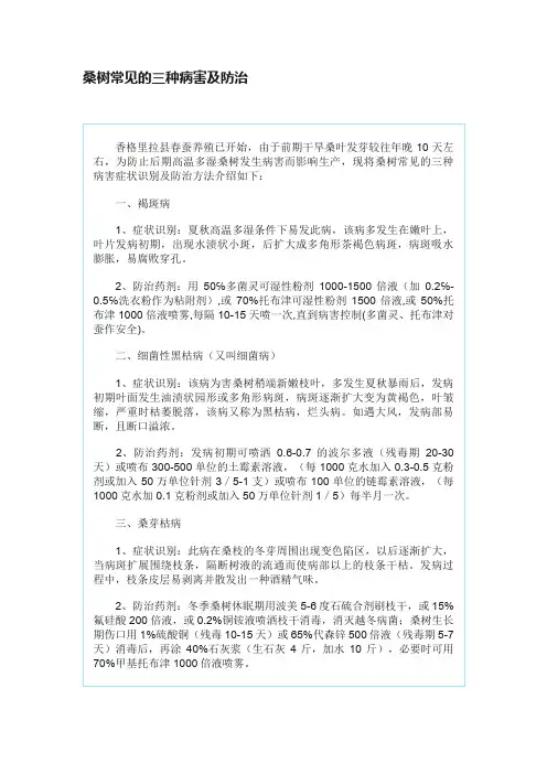 桑树常见的三种病害及防治