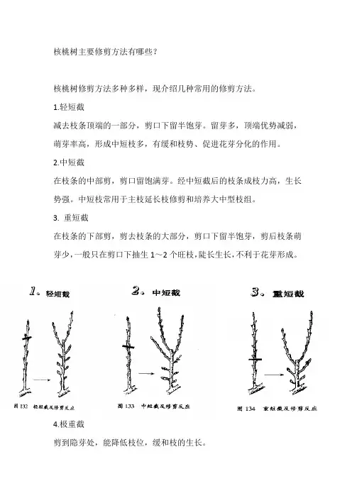 核桃树几种修剪方法