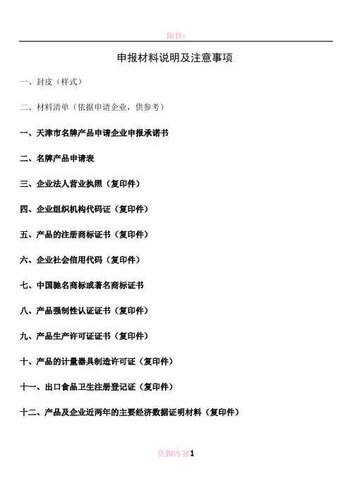 申报材料说明及注意事项