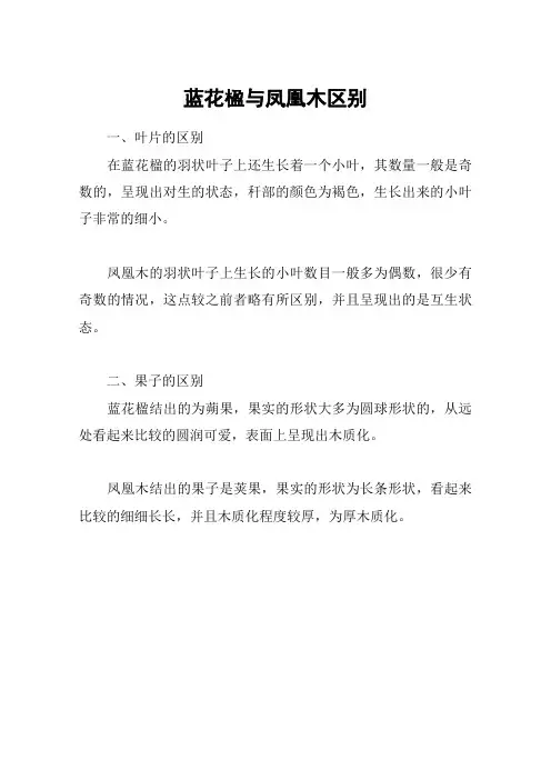 蓝花楹与凤凰木区别