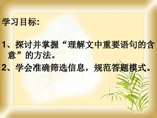 精编2018高考语文复习实用课件：现代文阅读理解重要句子的含义 (共23张PPT)