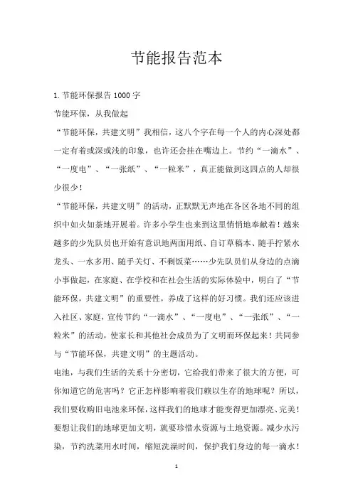 节能报告范本