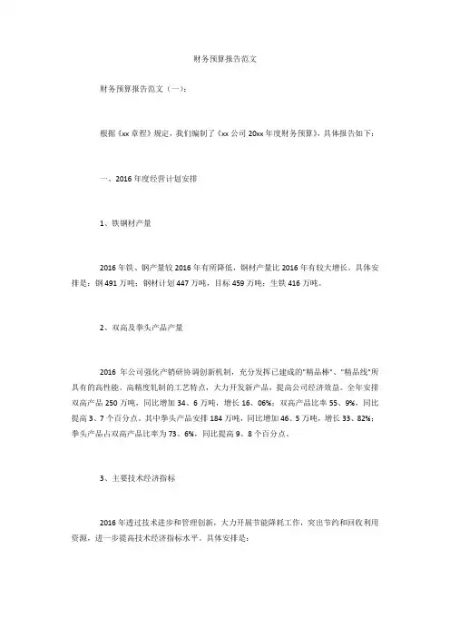 财务预算报告范文