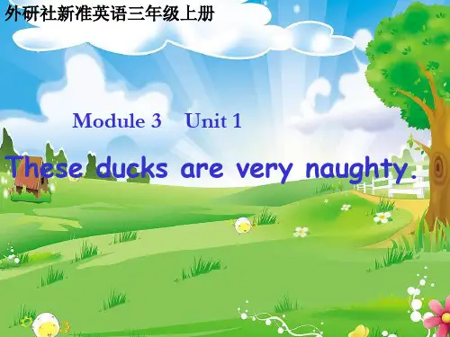 三年级英语上册 Unit 1 These ducks are very naughty课件1 外研版(一起)精 品 课件