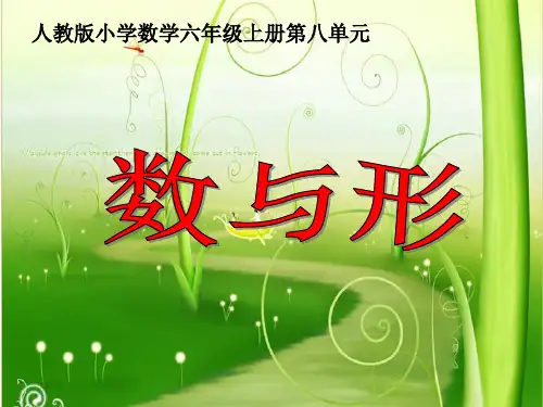 人教版小学六年级上册数学广角《数与形》数学教材