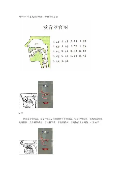 (完整word版)英语国际音标发音舌位图详解及发音方法大全,推荐文档