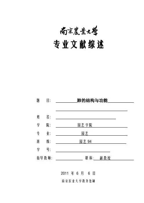 肺的结构与功能