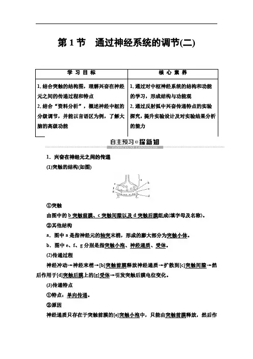 人教版高中生物必修三讲义第2章第1节通过神经系统的调节(二)