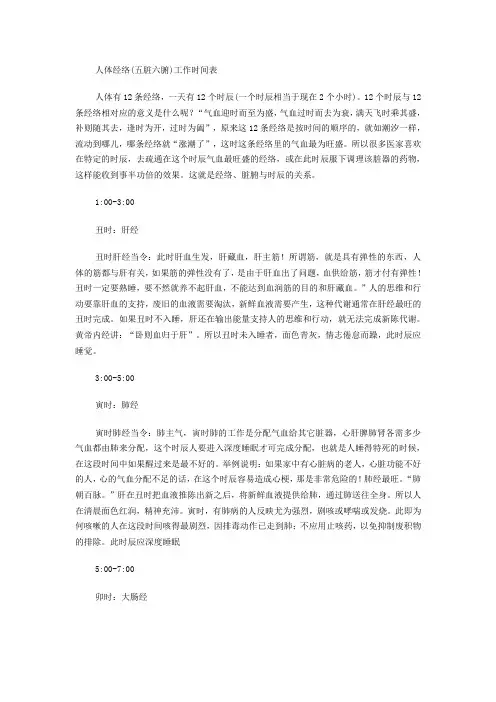 人体经络